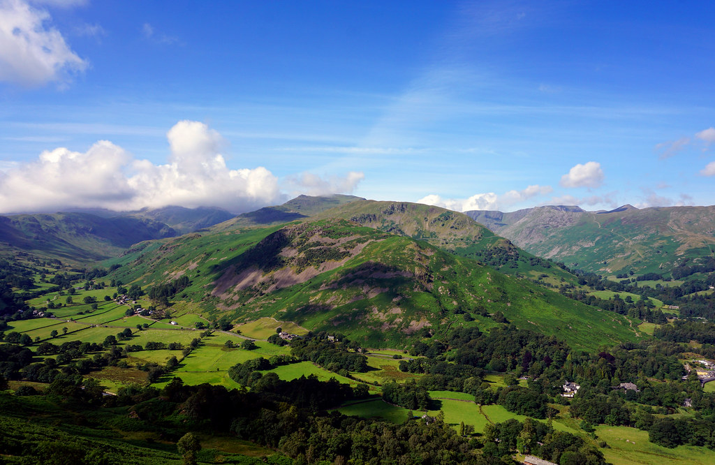 Carbon Offsets: Avoid or Remove?